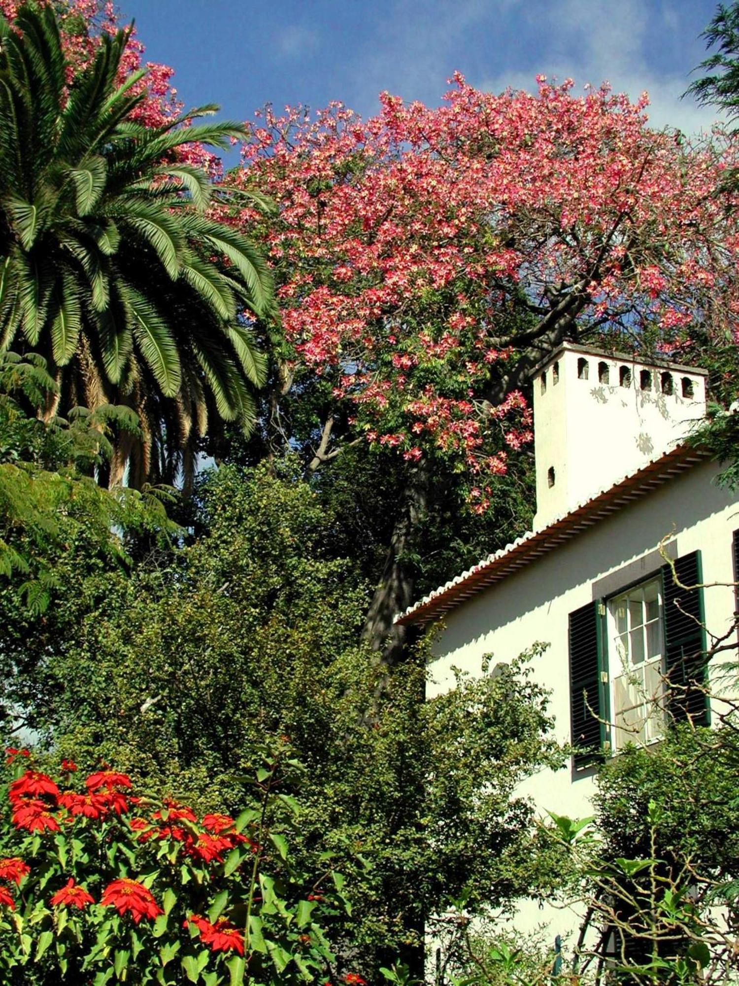 Quinta Da Bela Vista Ξενοδοχείο Φουνκάλ Εξωτερικό φωτογραφία